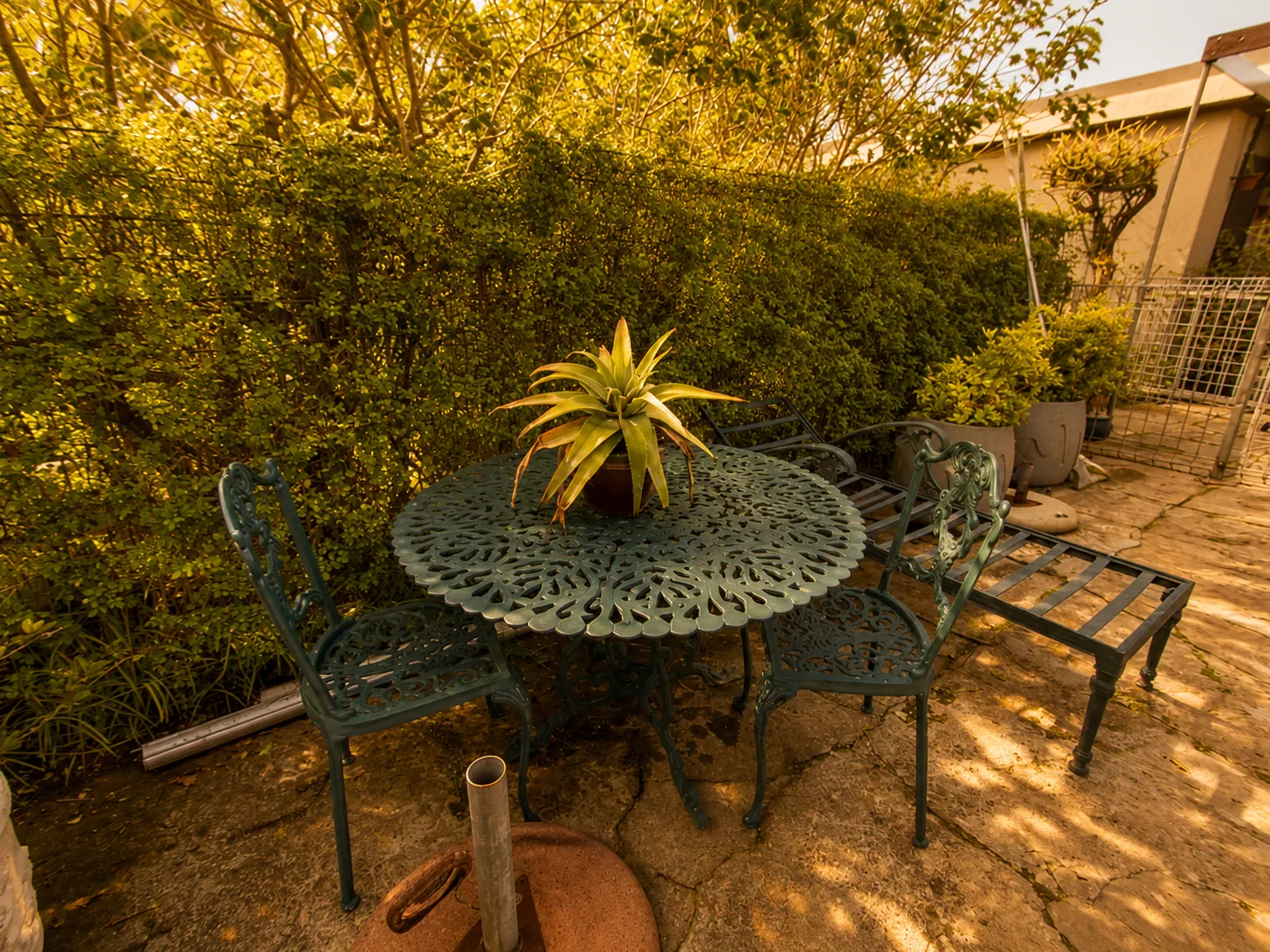 Private garden patio table and chairs surrounded by greenery at Protea Guesthouse