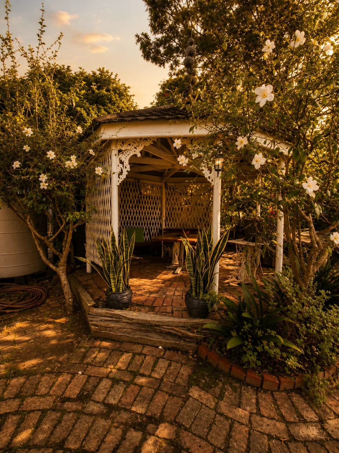 White garden gazebo surrounded by jasmine flowers at Protea Guesthouse in Durbanville